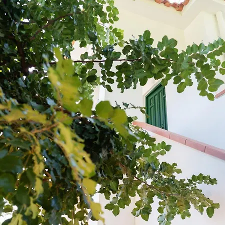 Gea Villa